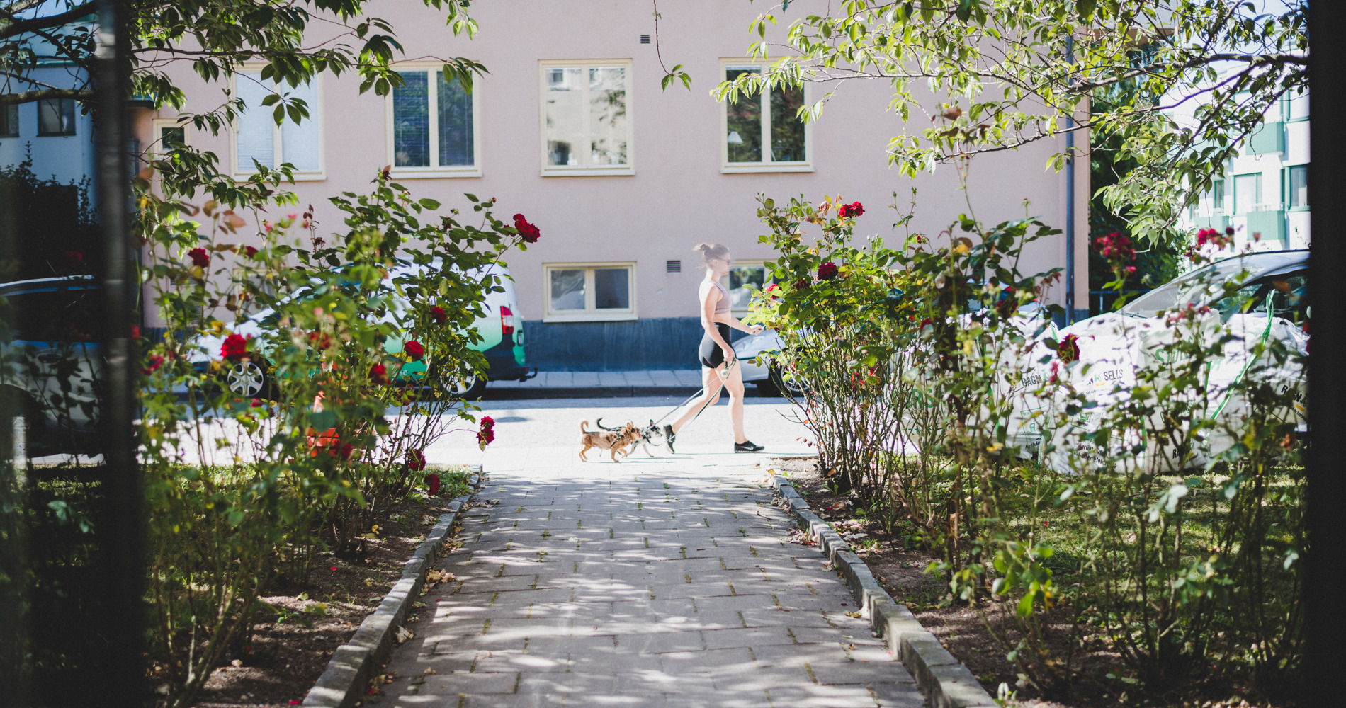 Brantingsgatan 37